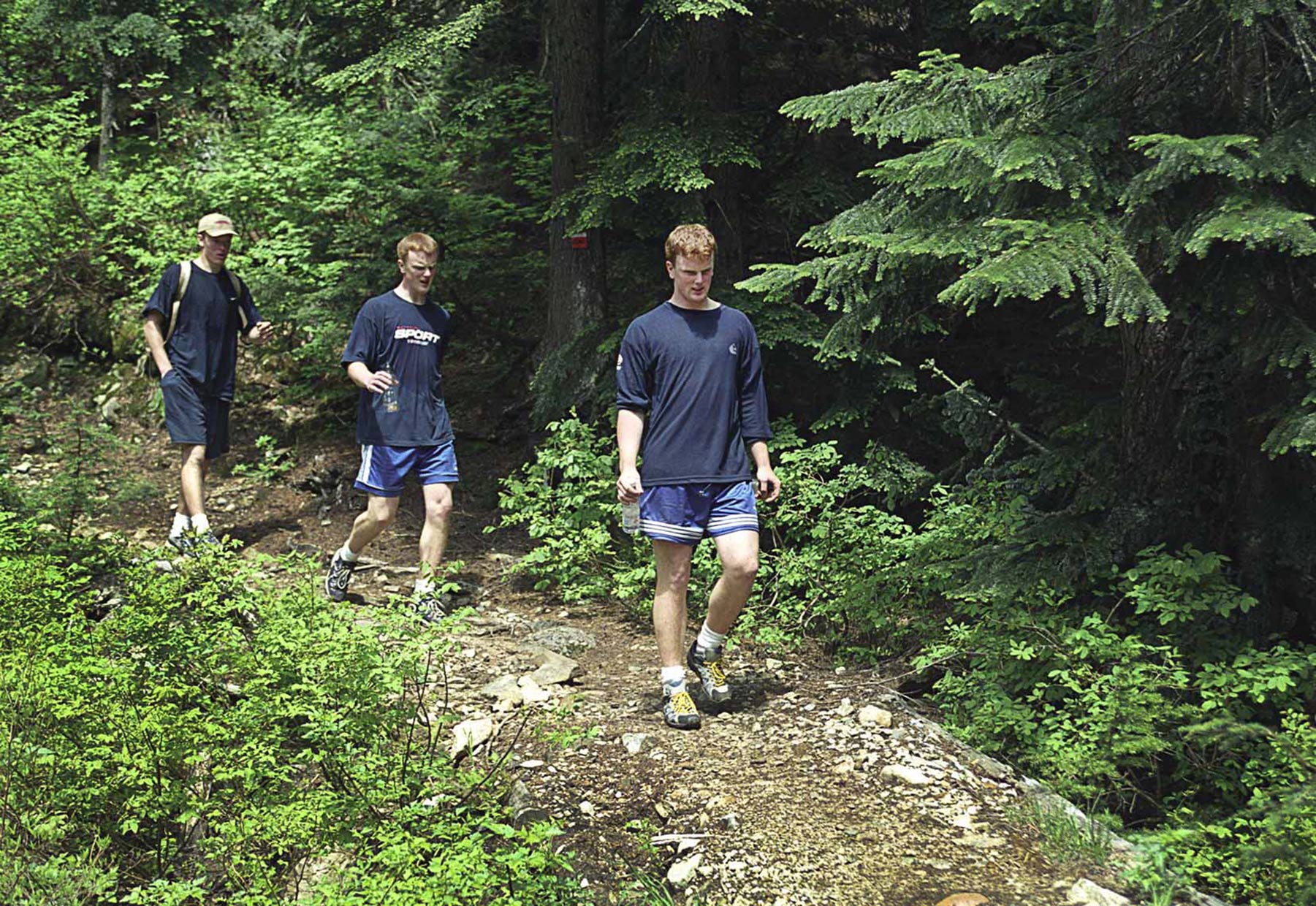 SEDIN_006